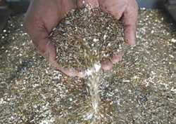 Chiết xuất vàng bạc từ chất thải của con người