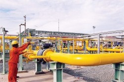 CNG: Khẳng định vai trò trong ngành công nghiệp khí