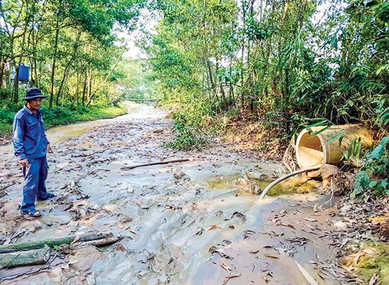 “Bãi lầy” hậu khai thác khoáng sản ở Quảng Nam