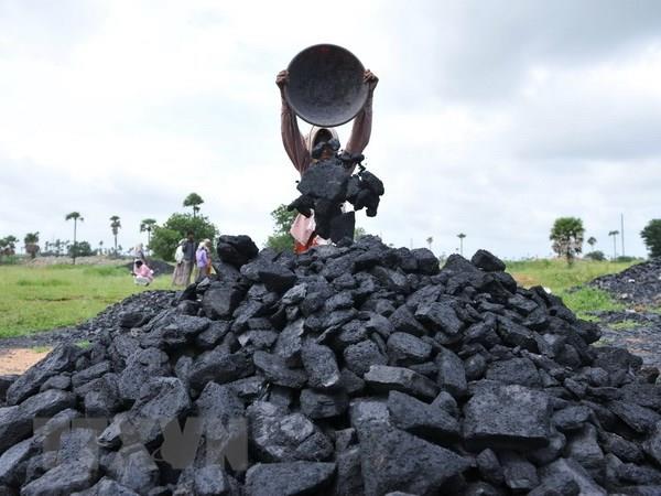 Indonesia huỷ hàng nghìn giấy phép khai thác khoáng sản và than đá