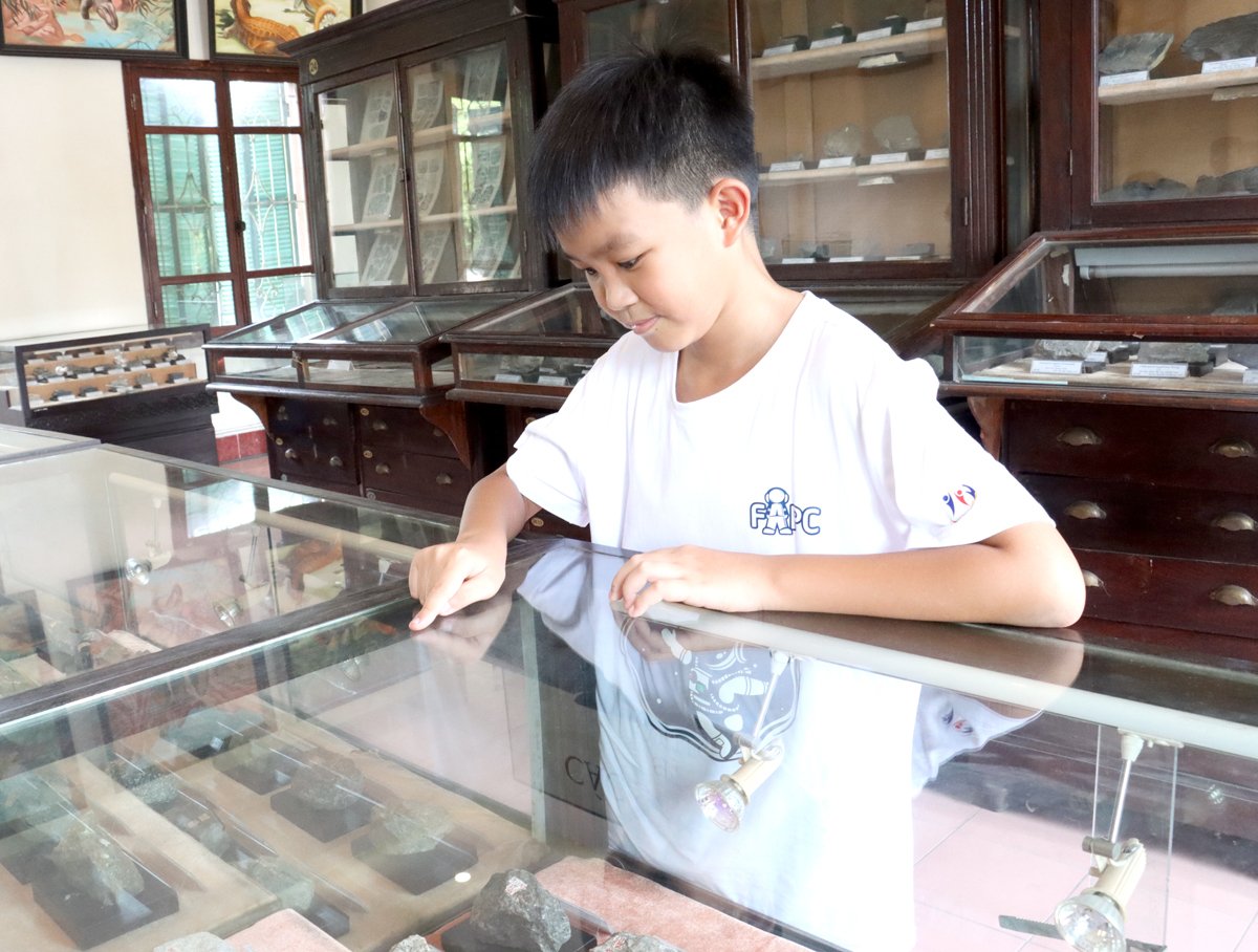 Học sinh hào hứng khám phá khoa học tại Bảo tàng Địa chất Hà Nội